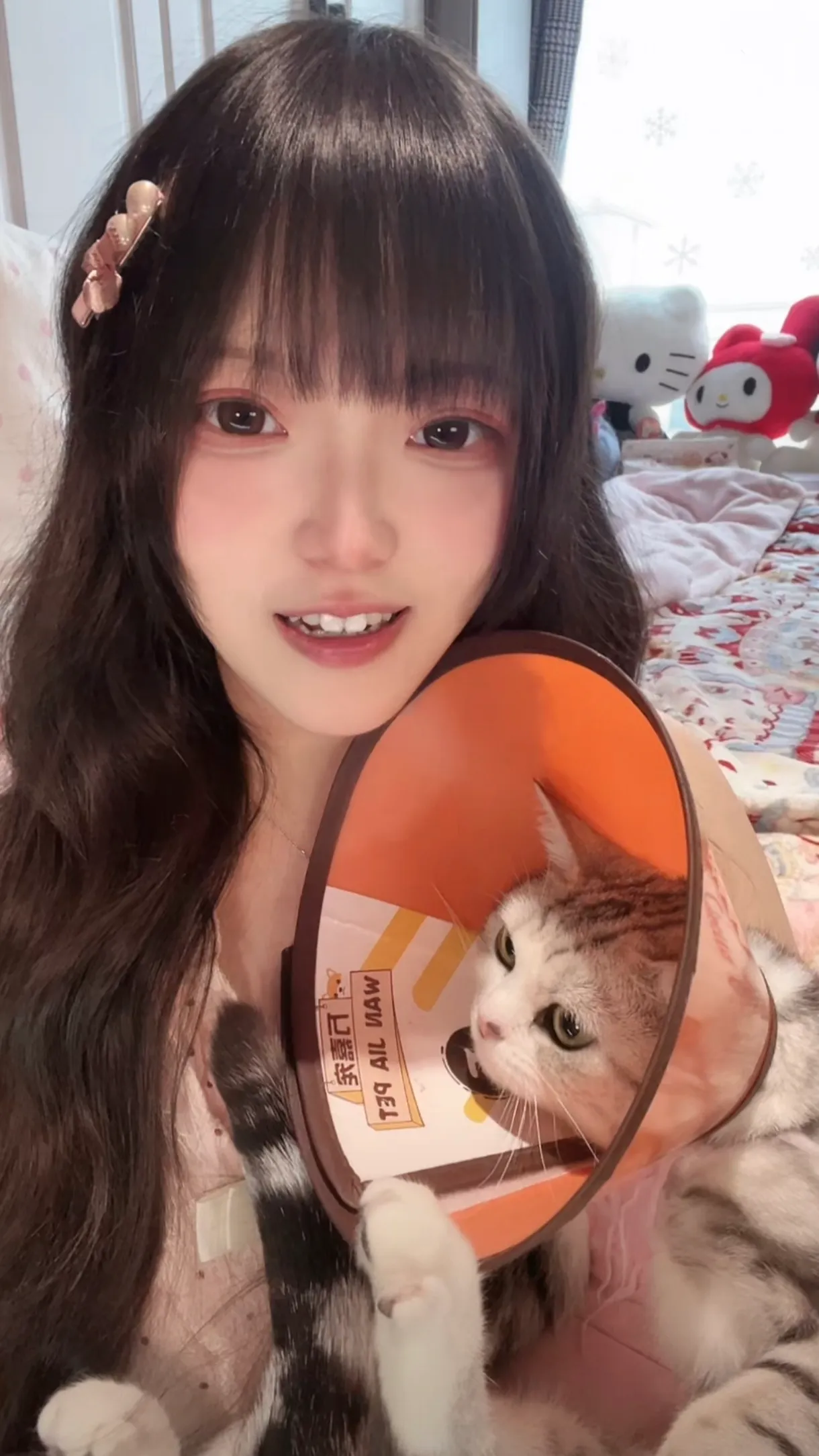 纪念图3|抽象图文/毛孩子